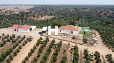 Quinta para Venda em Salvada e Quintos