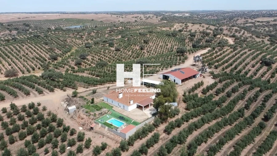 Quinta para Venda em Salvada e Quintos Foto 10