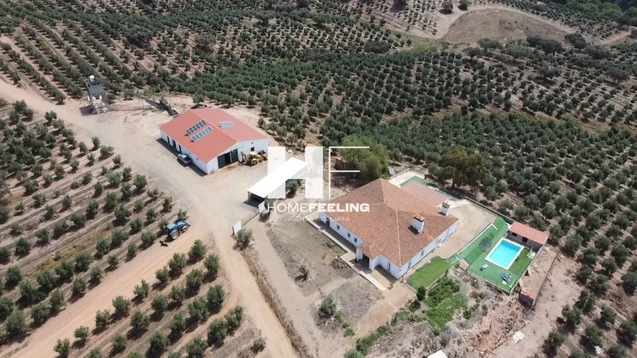 Quinta para Venda em Salvada e Quintos Foto 2