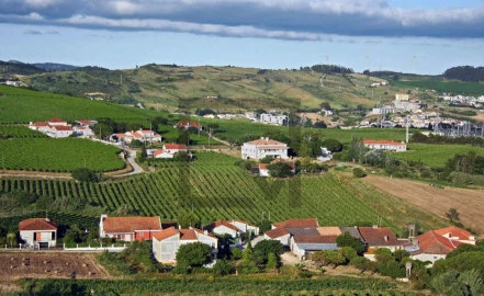 Quinta para Venda em Odivelas