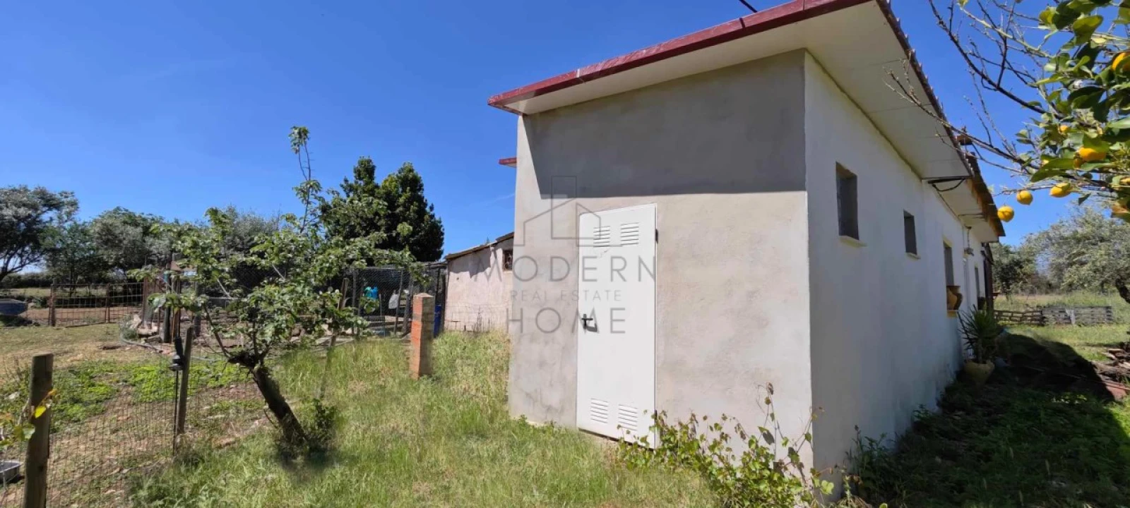 Quinta para Venda em Alter do Chão Foto 8