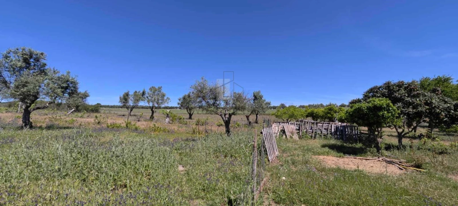 Quinta para Venda em Alter do Chão Foto 11