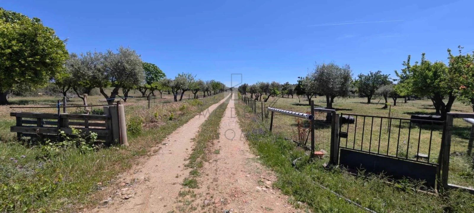 Quinta para Venda em Alter do Chão Foto 1