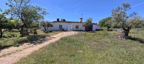 Quinta para Venda em Alter do Chão