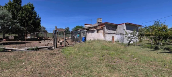 Quinta para Venda em Alter do Chão