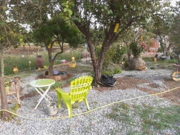 Quinta para Venda em Alter do Chão