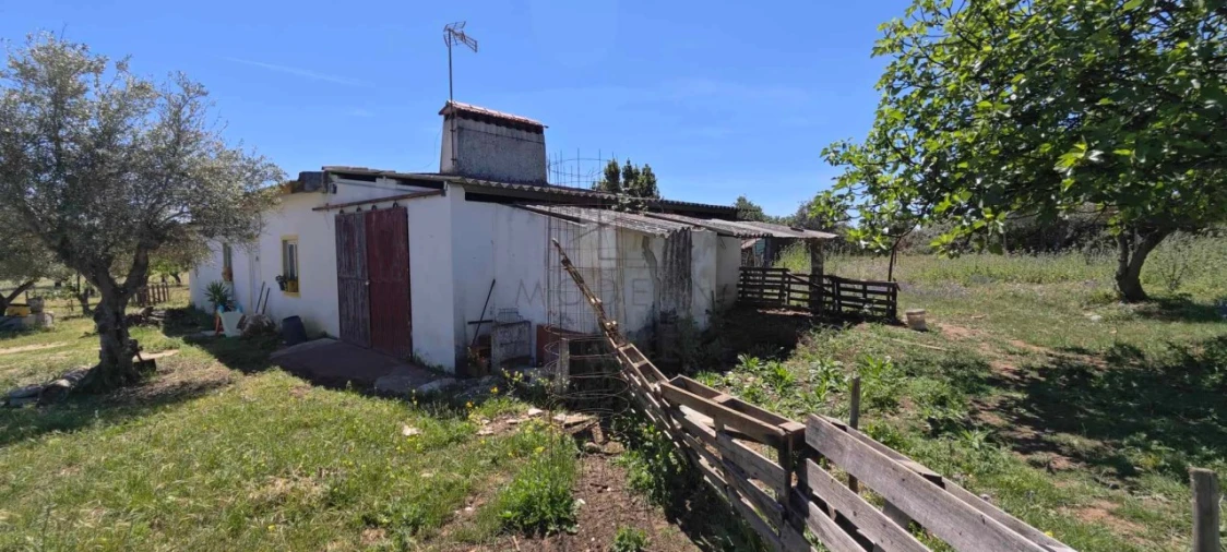 Quinta para Venda em Alter do Chão Foto 12