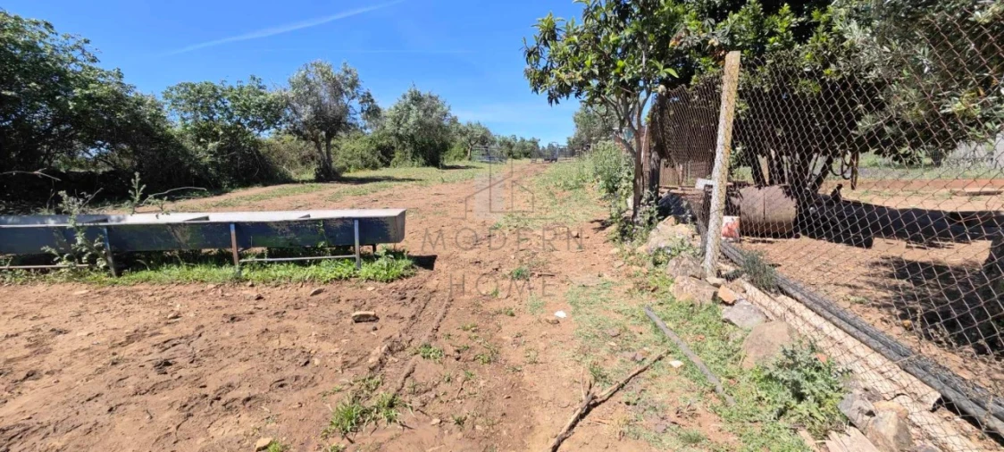 Quinta para Venda em Alter do Chão Foto 18