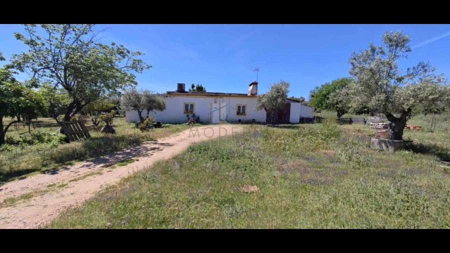 Quinta para Venda em Alter do Chão
