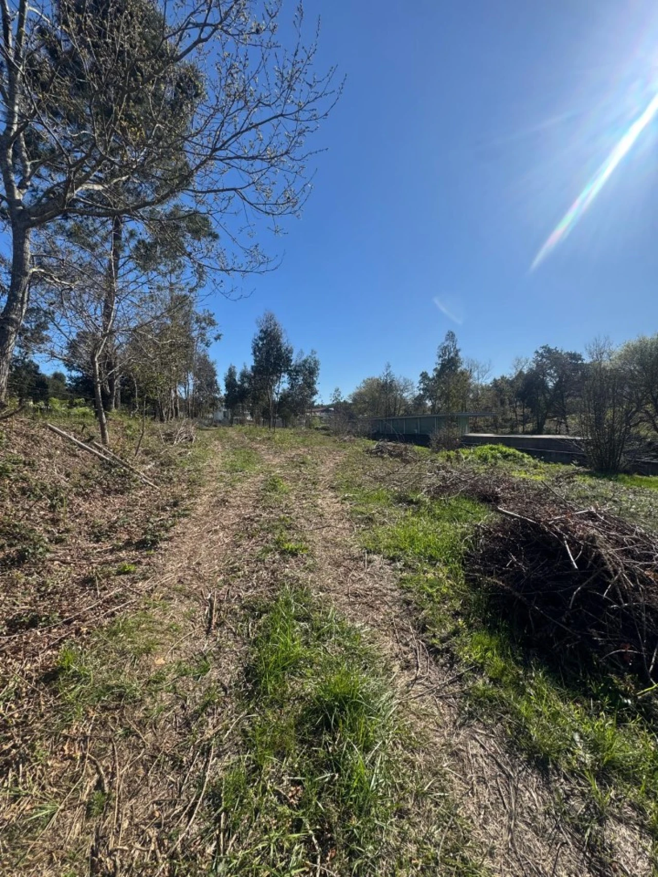 Terreno para Venda em Pedroso e Seixezelo Foto 13