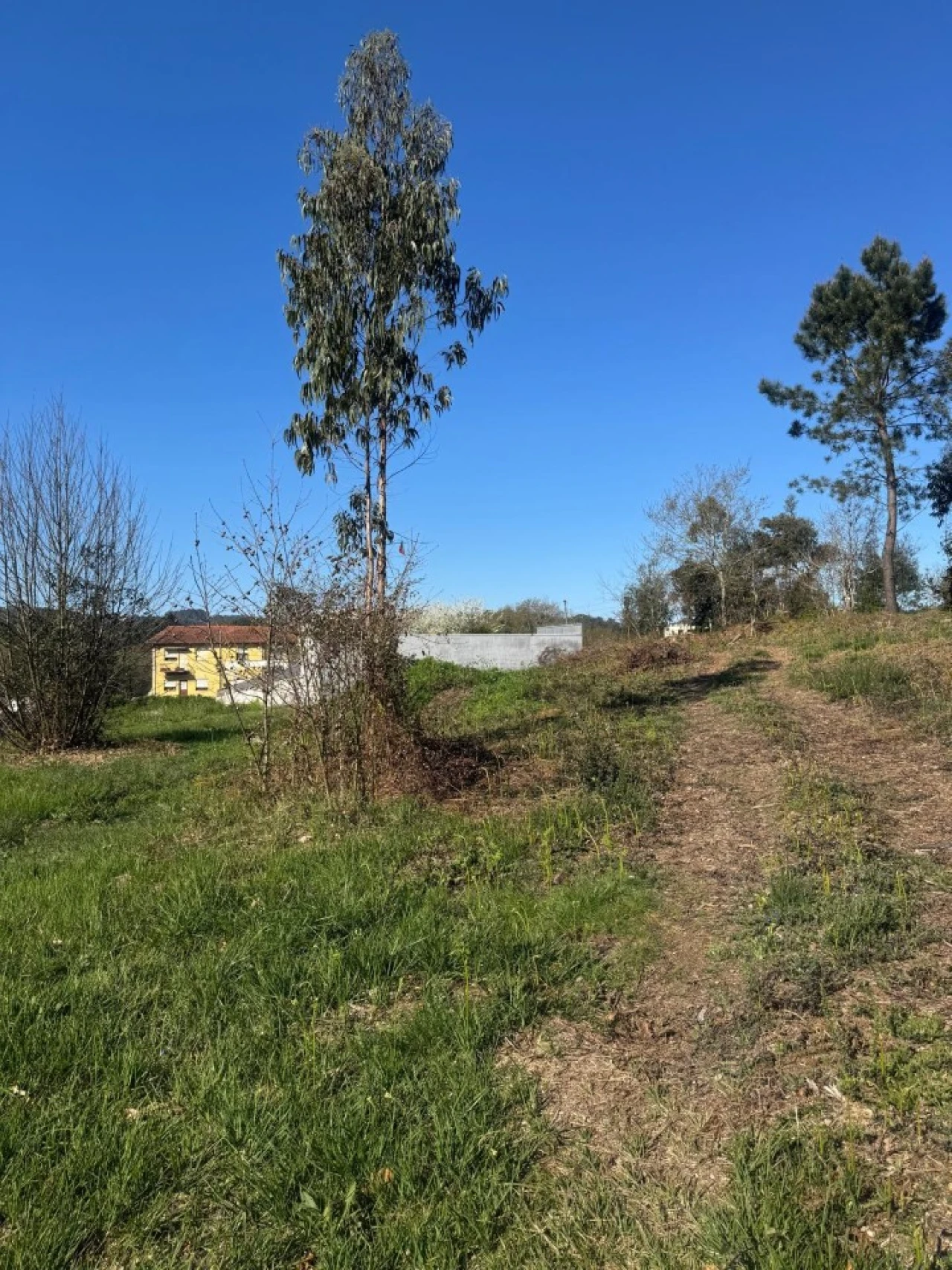 Terreno para Venda em Pedroso e Seixezelo Foto 24