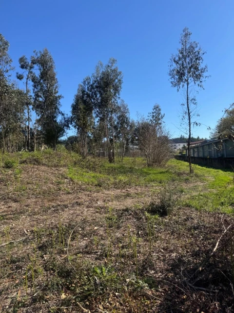 Terreno para Venda em Pedroso e Seixezelo