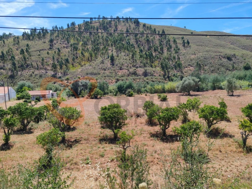 Quinta para Venda em Silves Foto 8
