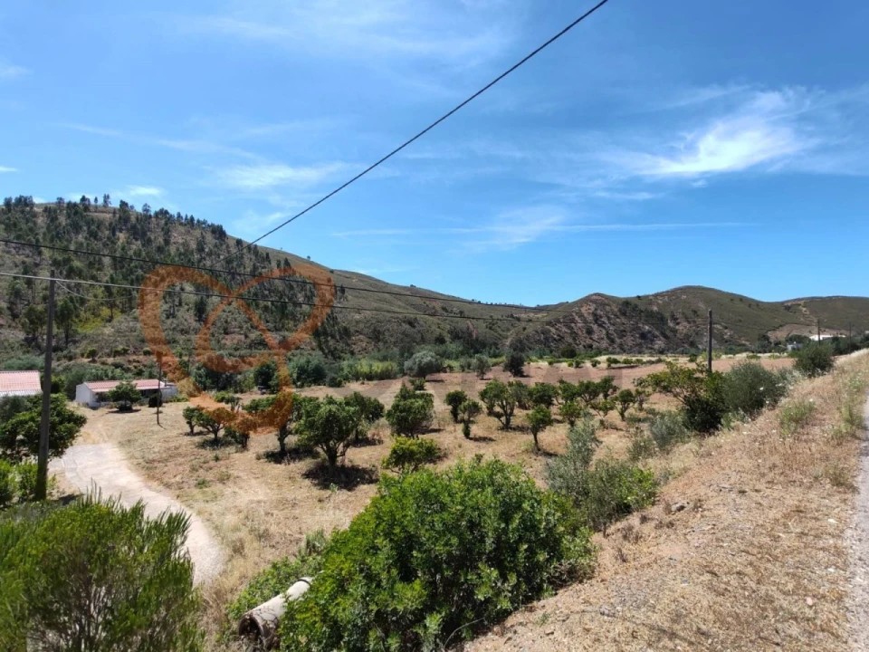 Quinta para Venda em Silves Foto 10