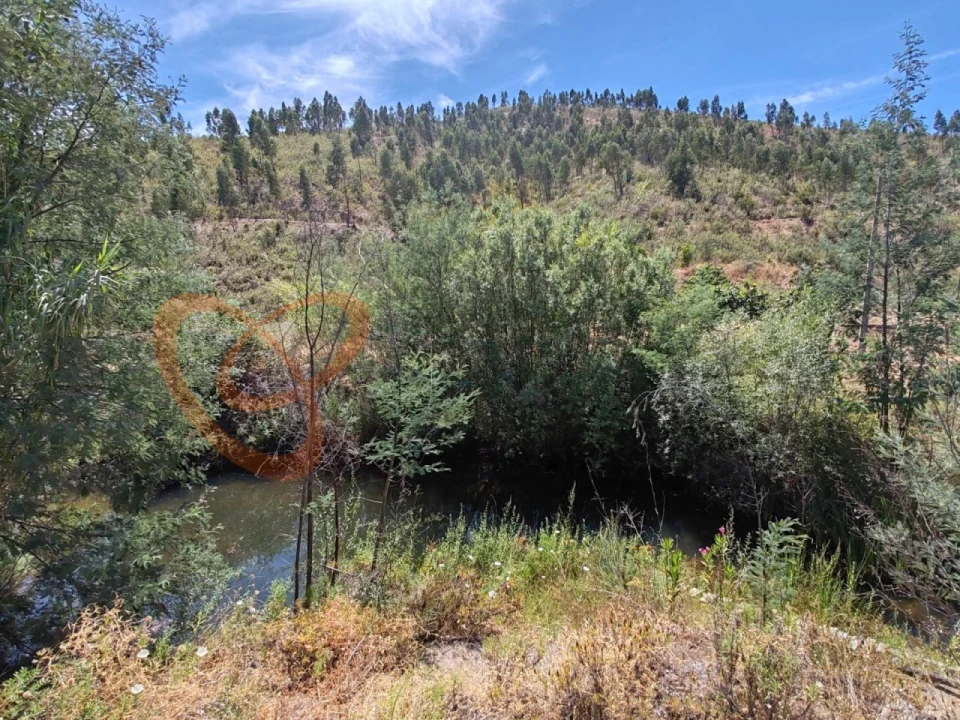 Quinta para Venda em Silves Foto 13