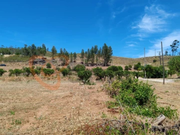 Quinta para Venda em Silves
