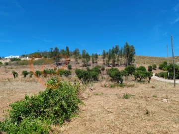 Quinta para Venda em Silves