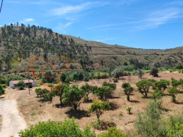 Quinta para Venda em Silves
