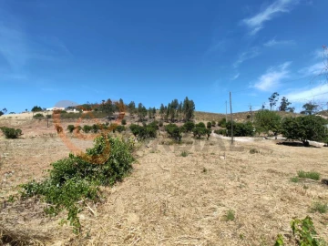 Quinta para Venda em Silves