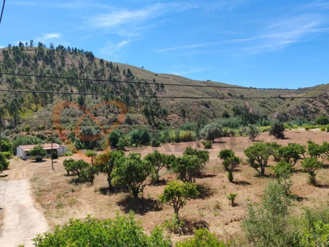 Quinta para Venda em Silves Foto 18