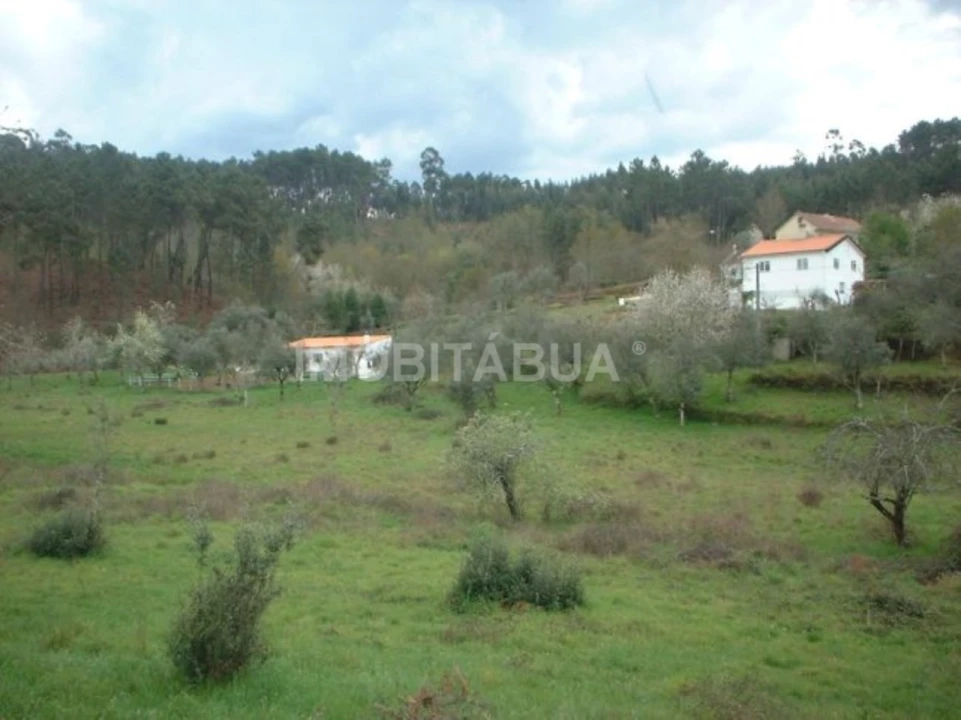 Quinta para Venda em Espariz e Sinde Foto 8
