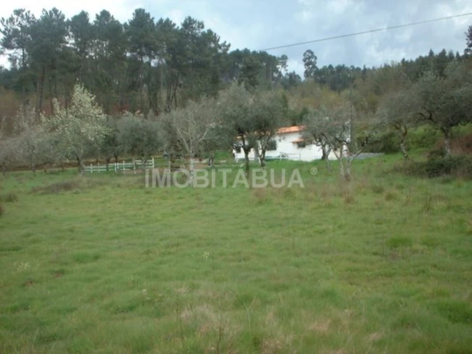 Quinta para Venda em Espariz e Sinde Foto 9