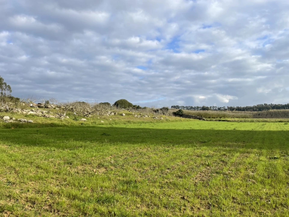 Quinta para Venda em Reguengo Grande Foto 7