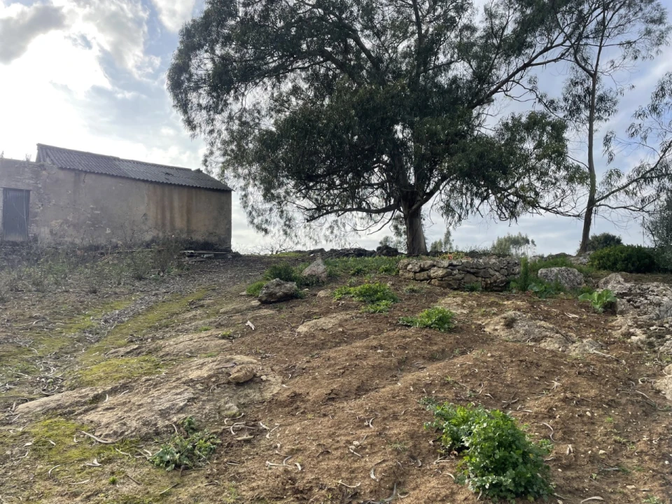 Quinta para Venda em Reguengo Grande Foto 1