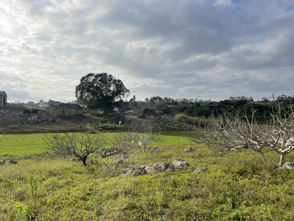 Quinta para Venda em Reguengo Grande Foto 9
