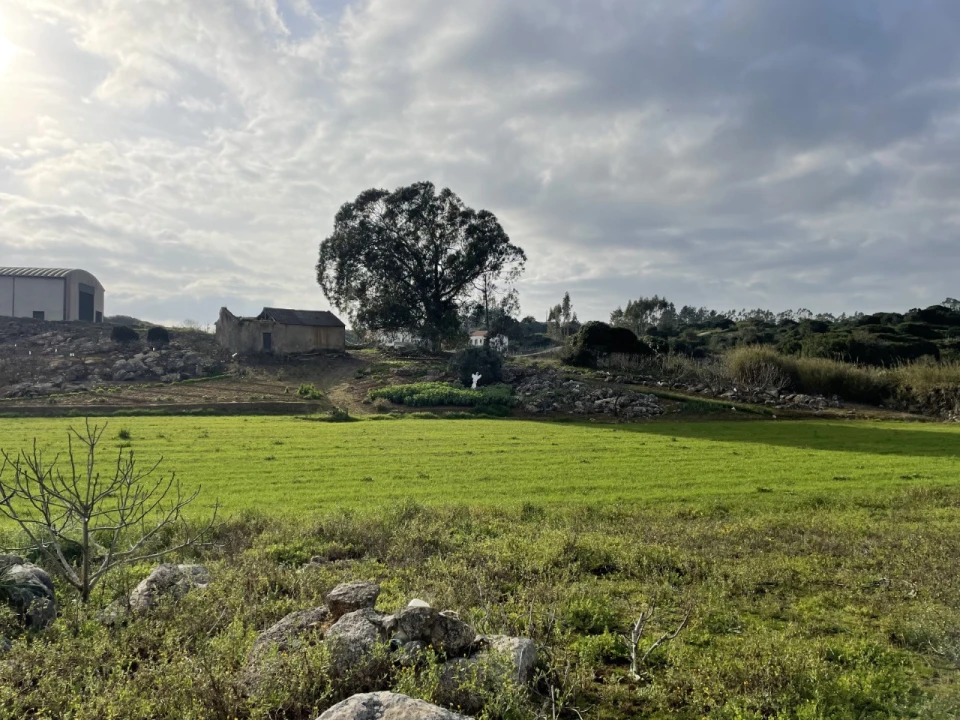 Quinta para Venda em Reguengo Grande Foto 10