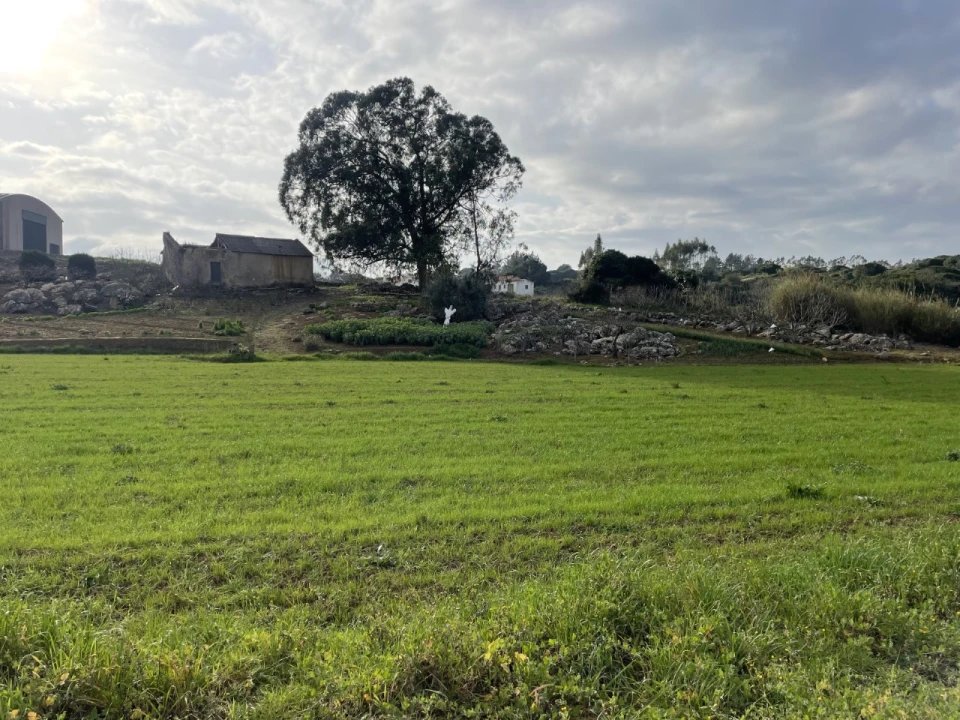 Quinta para Venda em Reguengo Grande Foto 3