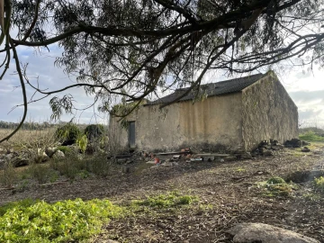 Quinta para Venda em Reguengo Grande