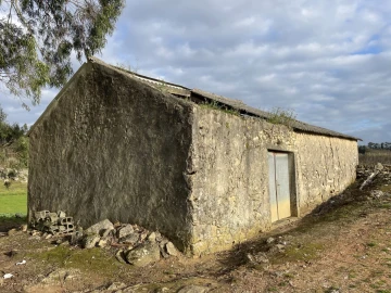 Quinta para Venda em Reguengo Grande