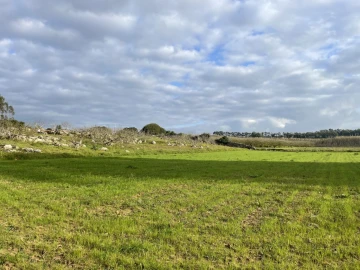 Quinta para Venda em Reguengo Grande