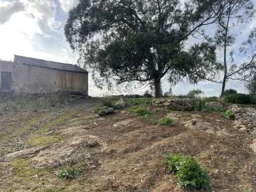 Quinta para Venda em Reguengo Grande