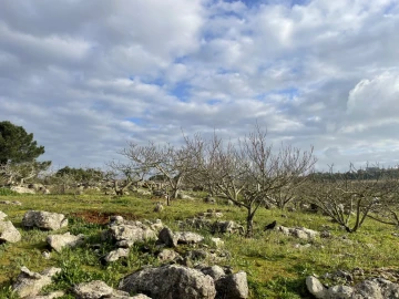 Quinta para Venda em Reguengo Grande