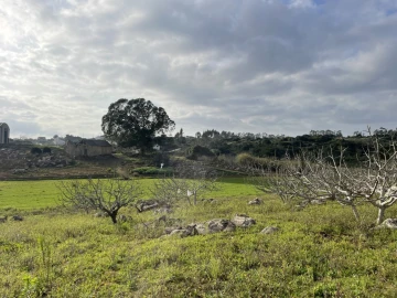 Quinta para Venda em Reguengo Grande