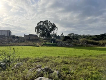 Quinta para Venda em Reguengo Grande