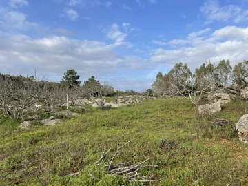Quinta para Venda em Reguengo Grande