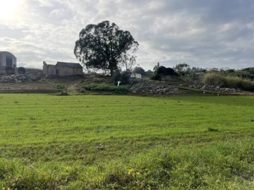 Quinta para Venda em Reguengo Grande