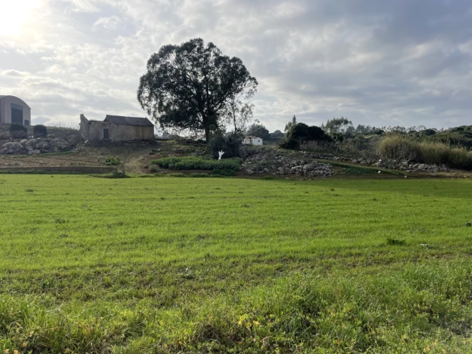 Quinta para Venda em Reguengo Grande Foto 3