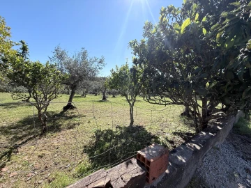 Terreno para Venda em Esperança