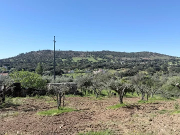 Terreno para Venda em Esperança