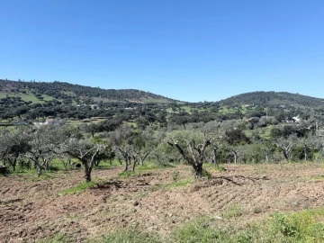 Terreno para Venda em Esperança