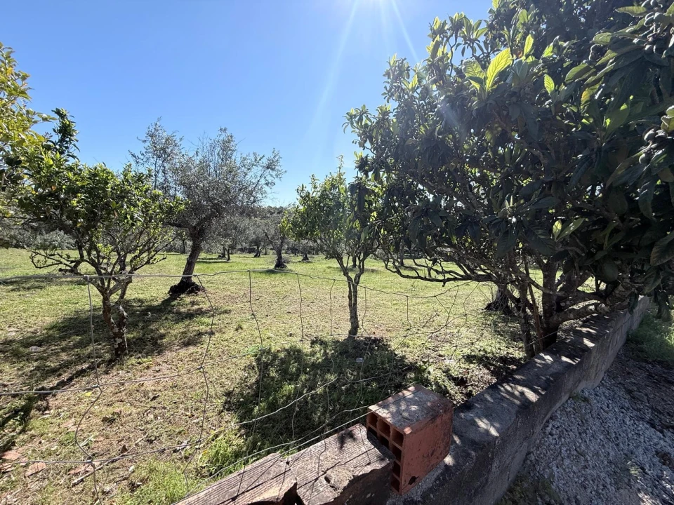 Terreno para Venda em Esperança Foto 1