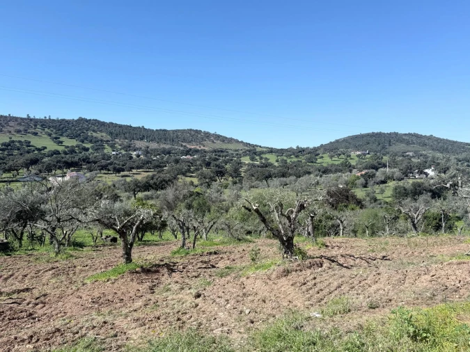 Terreno para Venda em Esperança Foto 2