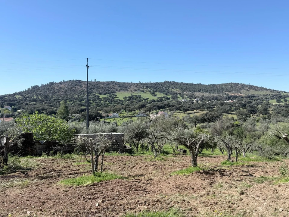 Terreno para Venda em Esperança Foto 3