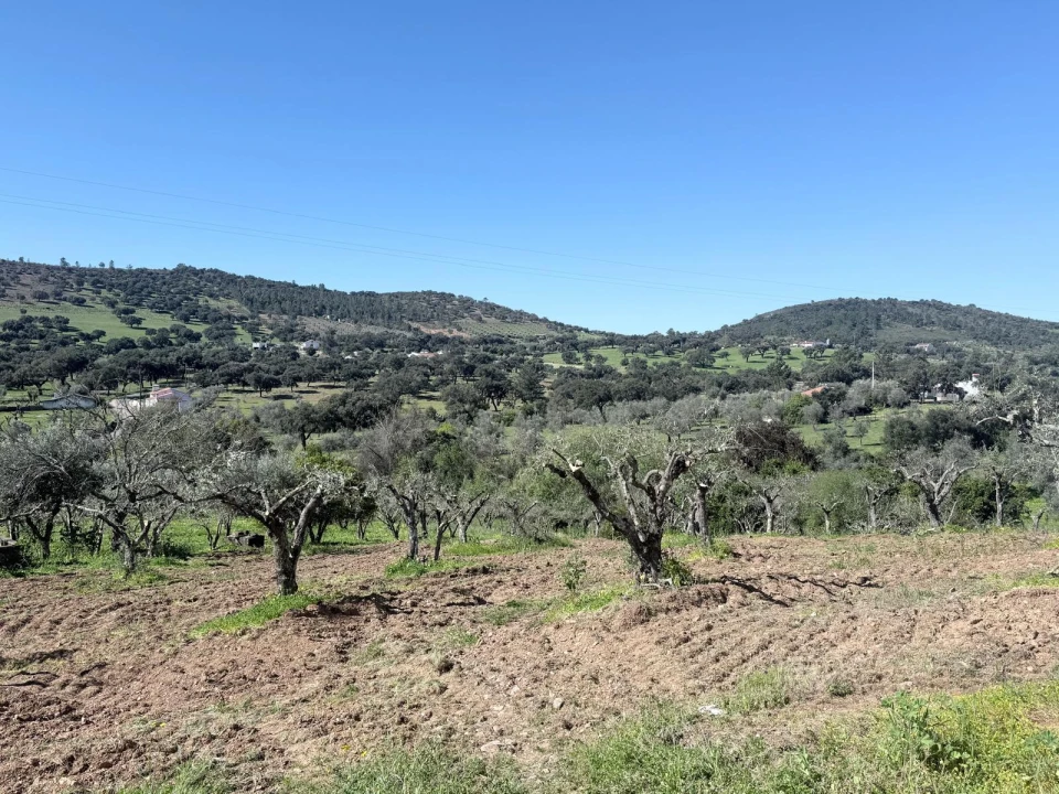 Terreno para Venda em Esperança Foto 2