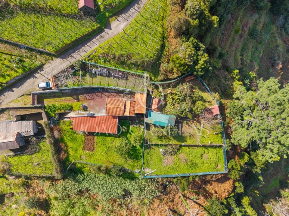 Terreno para Venda em São Vicente Foto 5