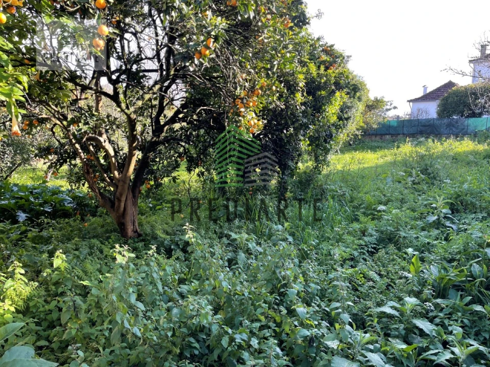 Terreno para Venda em Gulpilhares e Valadares Foto 2